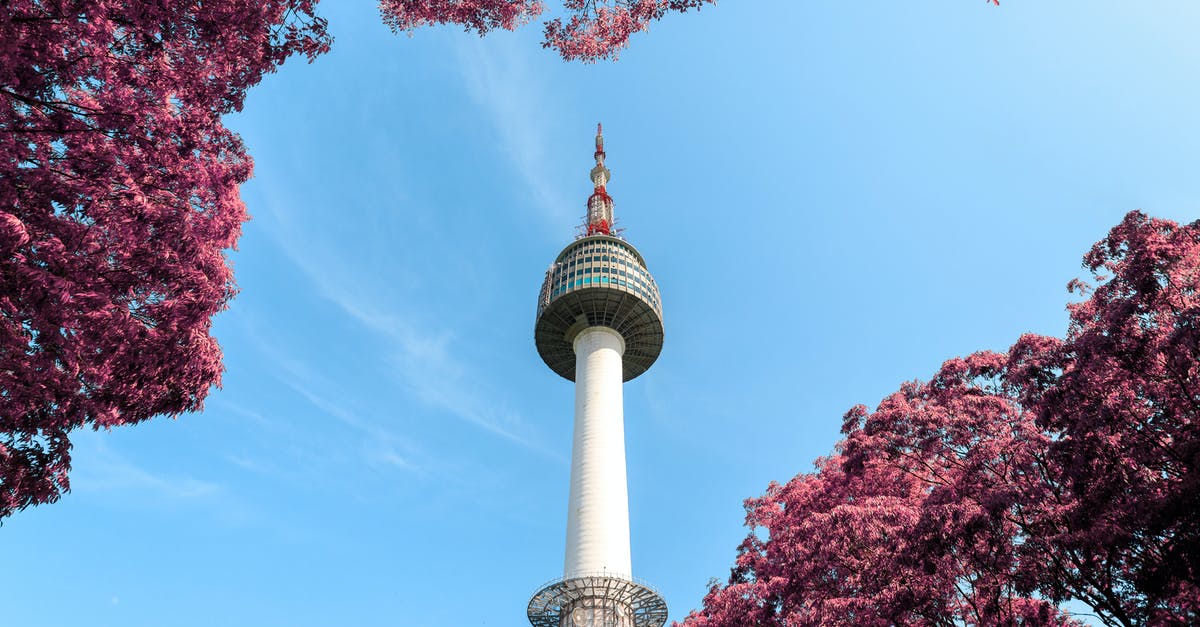 Flying from Bangkok to the United States via South Korea (Incheon): will the passenger be quarantined in South Korea? - Low-Angle Photo of N Seoul Tower