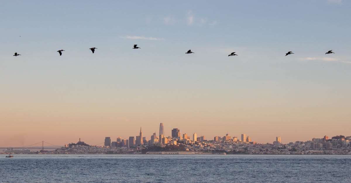 Flying from California to Texas: do I need ESTA? - Birds Flying over the City during Sunset