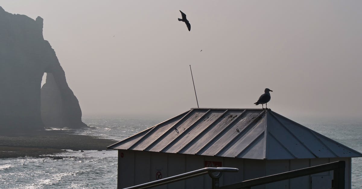 Flying from France to the UK with only ID card [duplicate] - seagull in the english channel fog