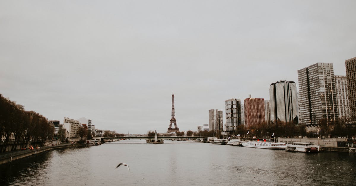 Flying from France to the UK with only ID card [duplicate] - Gray Bird Above Body of Water