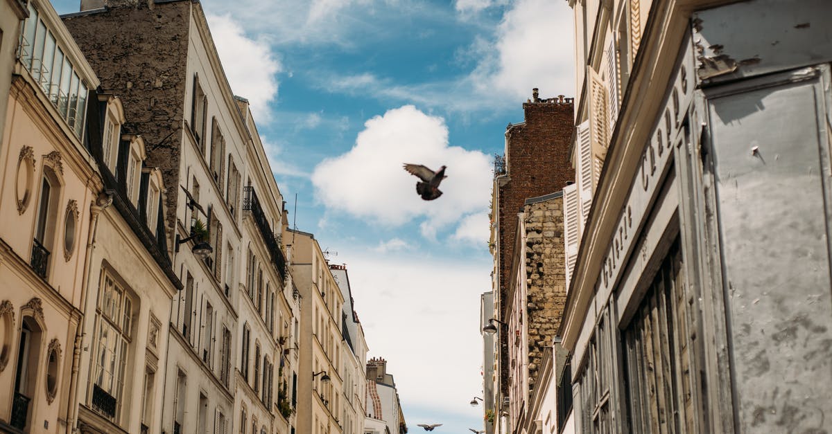 Flying from France to the UK with only ID card [duplicate] - Bird Under White and Blue Clouds