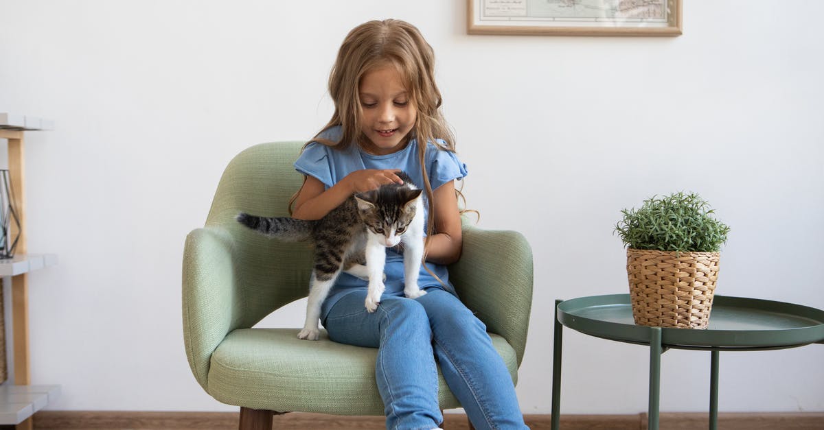 Flying on Southwest with a cat - Little Girl Sitting in Armchair Holding Cat