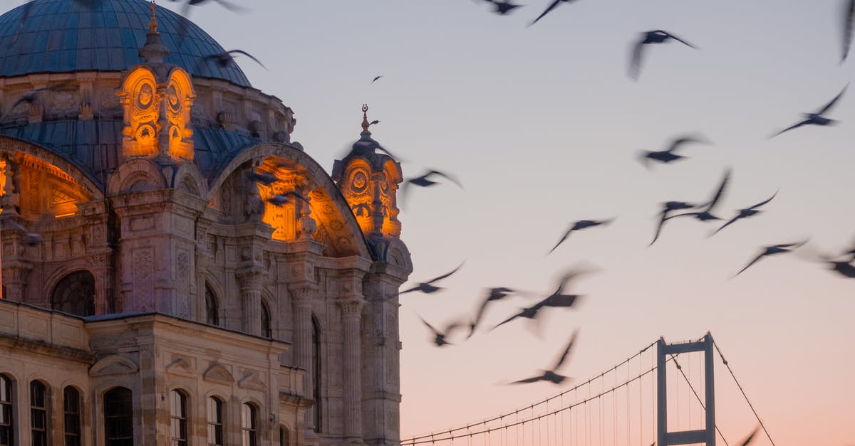 Flying through Istanbul with ID and not Passport - A Flock of Birds Flying Near the Mosque