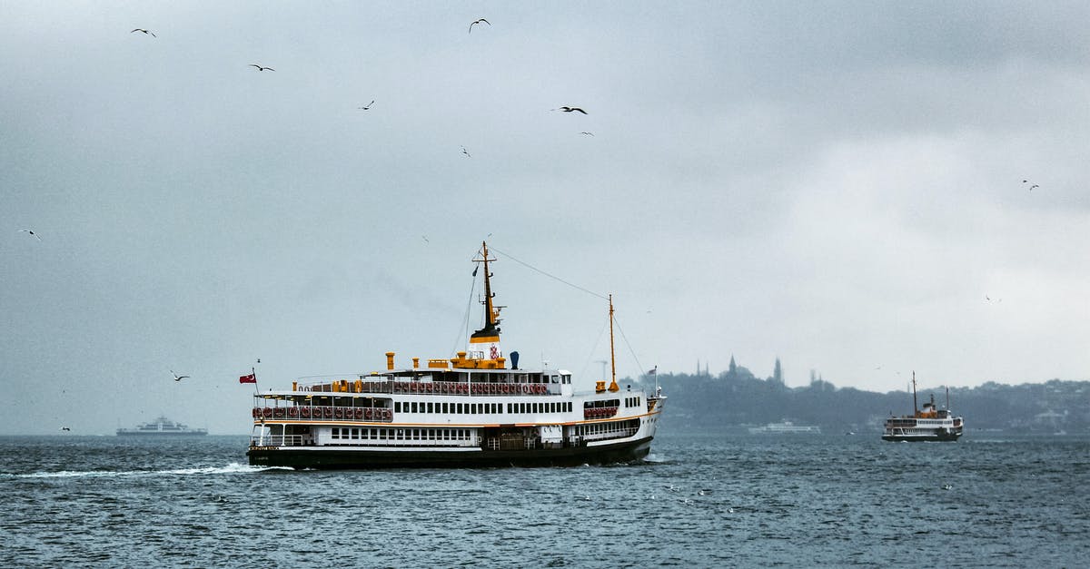 Flying through Istanbul with ID and not Passport - Seagulls Flying Above White Ship on Sea During Gloomy Weather