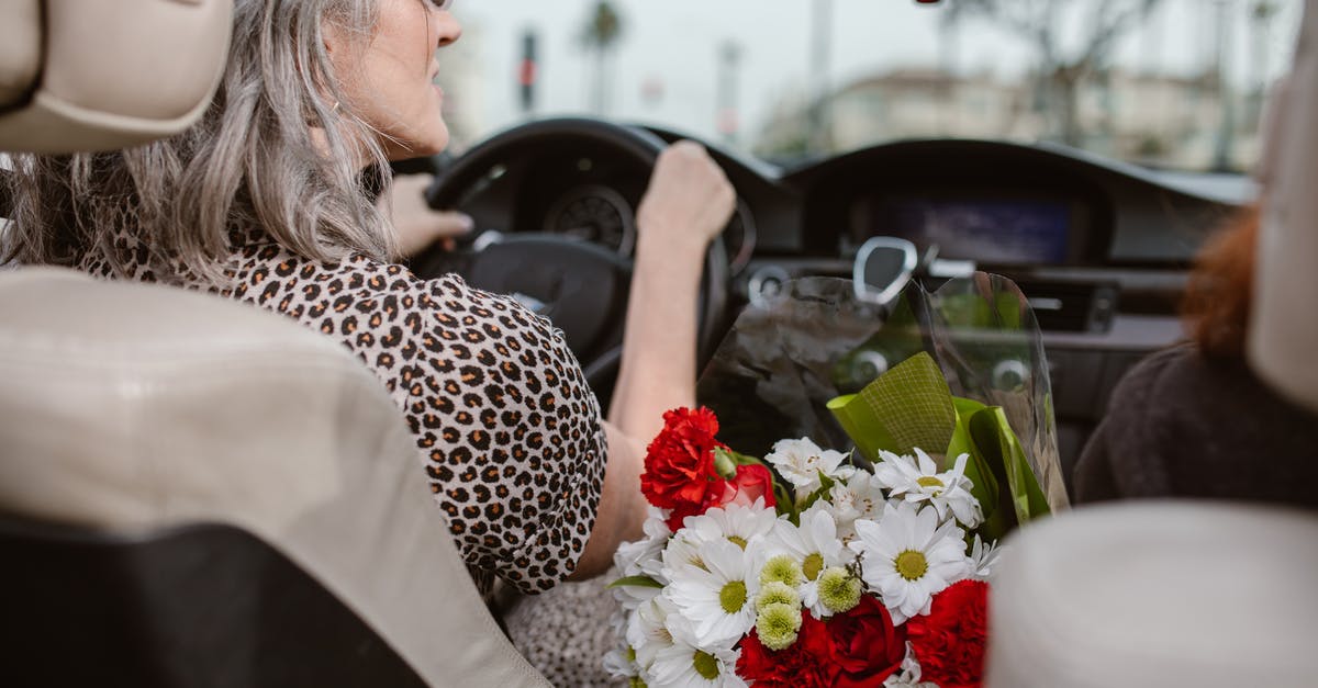 Flying to San Diego and Driving back to Florida [closed] - Free stock photo of bouquet, bride, car