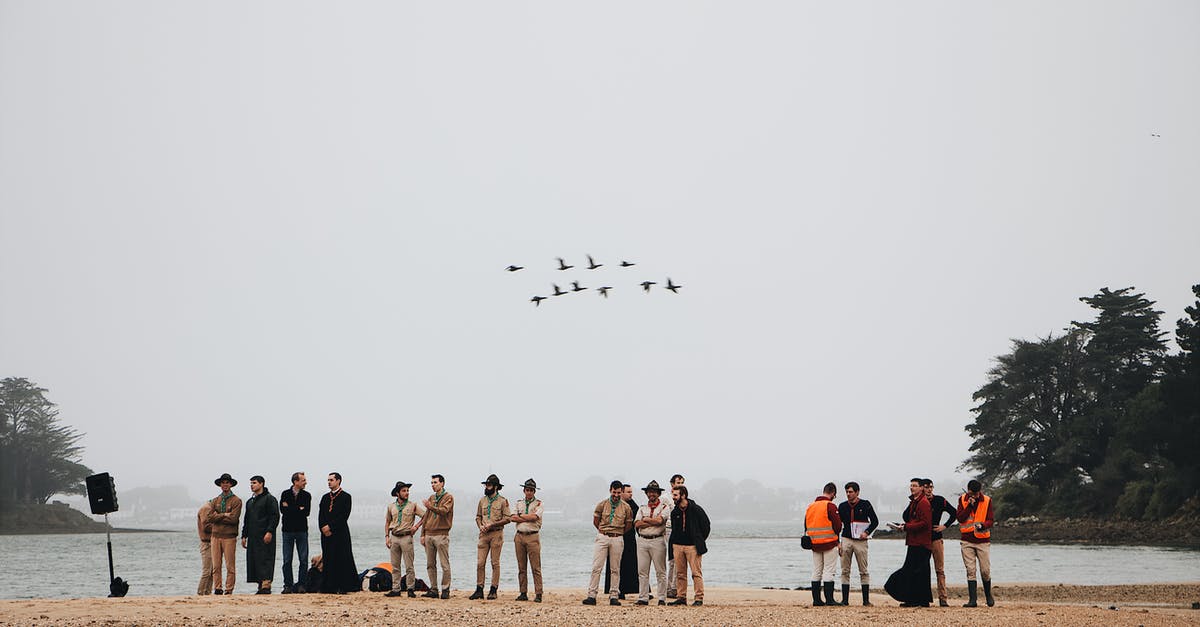 Flying together but parting ways later on. - People Near Ocean