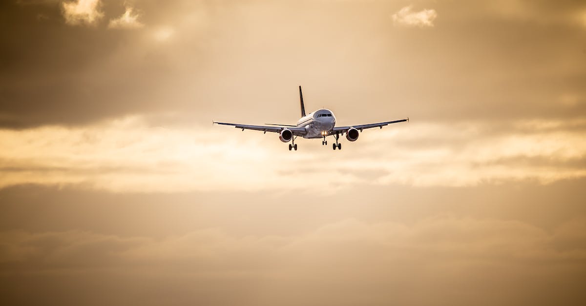 Flying while pregnant? - Golden hour flight