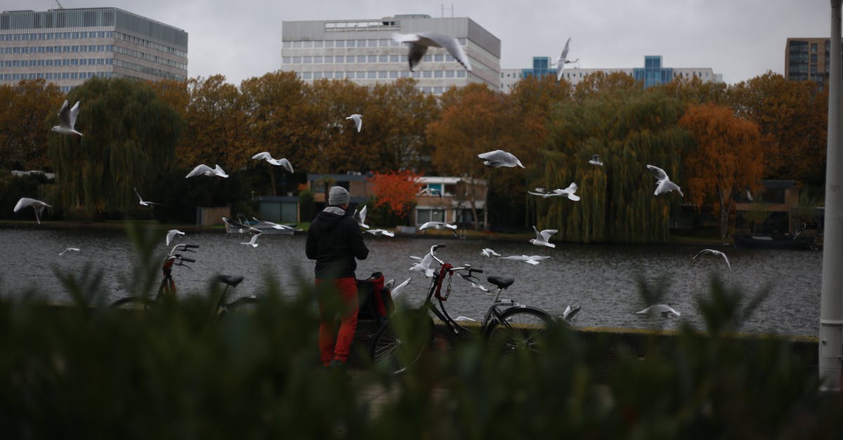 Flying with a bicycle with Swiss/Austrian/Brussels airlines - Birds Flying Around a Person