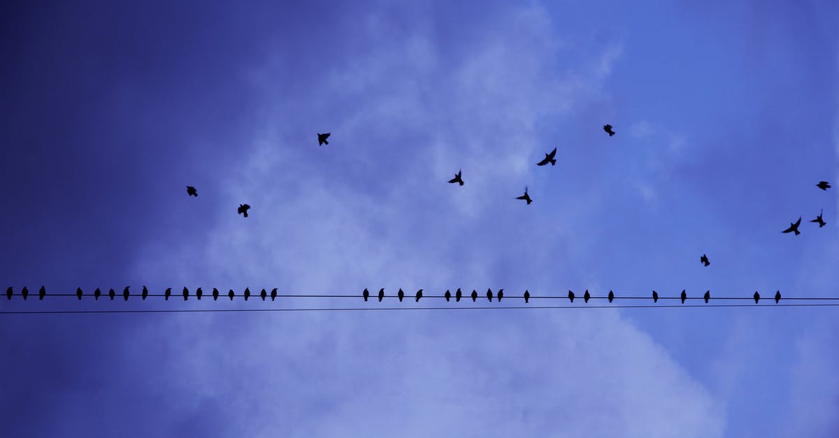 Flying with a folding electric bike? - Silhouette Photography of Birds in Flight and Perched on an Electricity Line