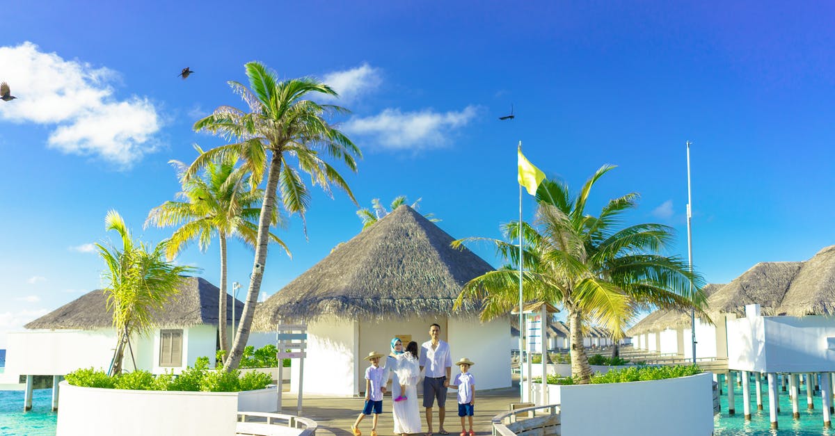 Flying with someone else's children - Green Palm Trees and White Gazebo