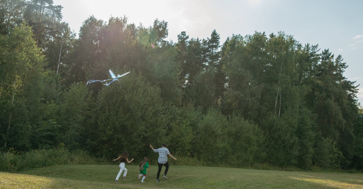 Flying with someone else's children - Family Running on Green Grass Field