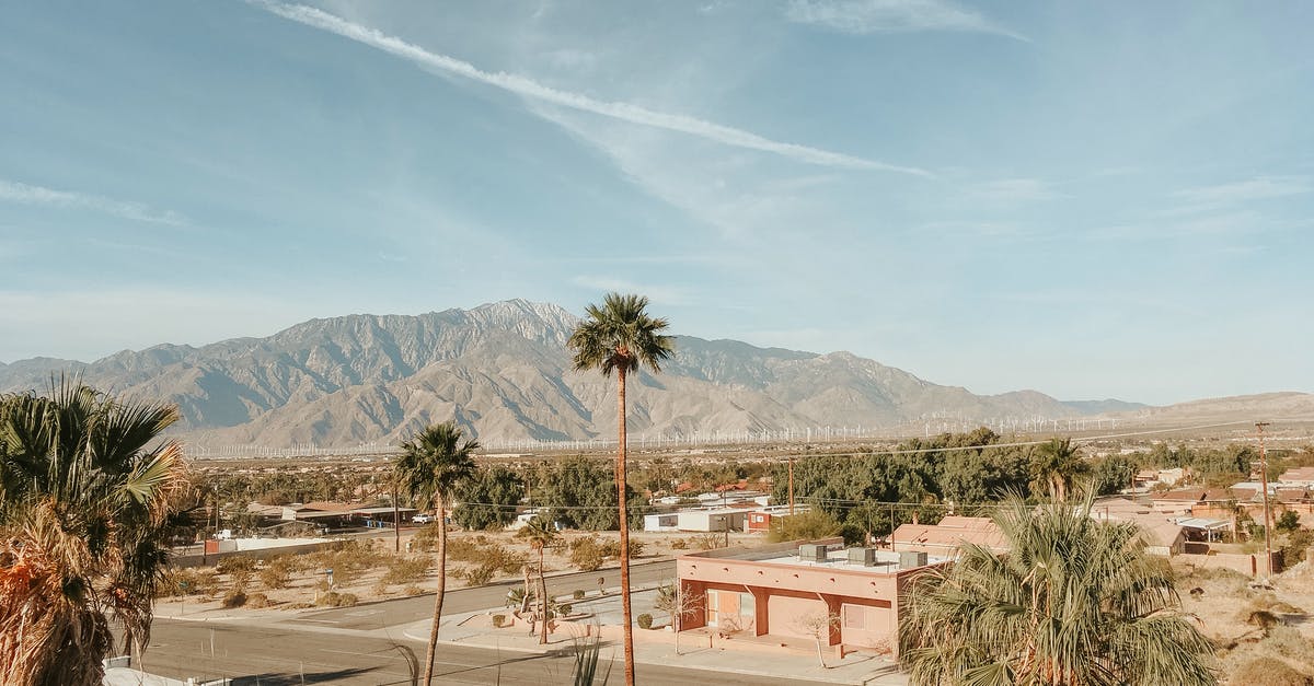 flying within the US with a cactus in carryon - A Beautiful Landscape On A Bright Day