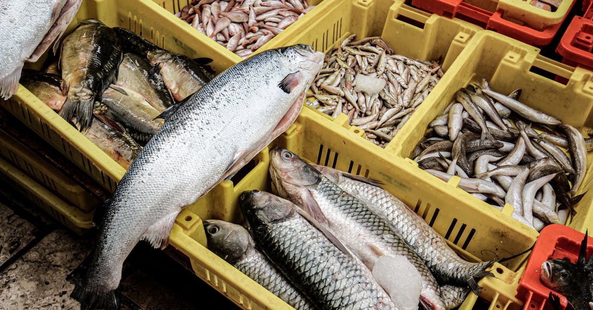 Food prices in Chile - particularly seafood - Gray and Black Fish on Brown Wooden Crate