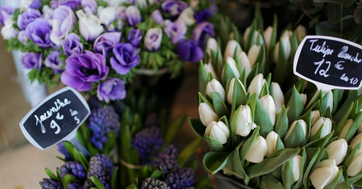 French bookshops in Paris - Spring flowers in flower shop