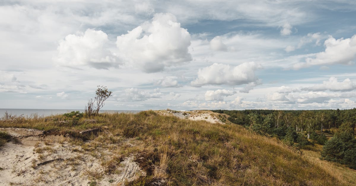 From London to Rome by sea, land and air [closed] - Hill with grass against sea and coniferous trees under clouds