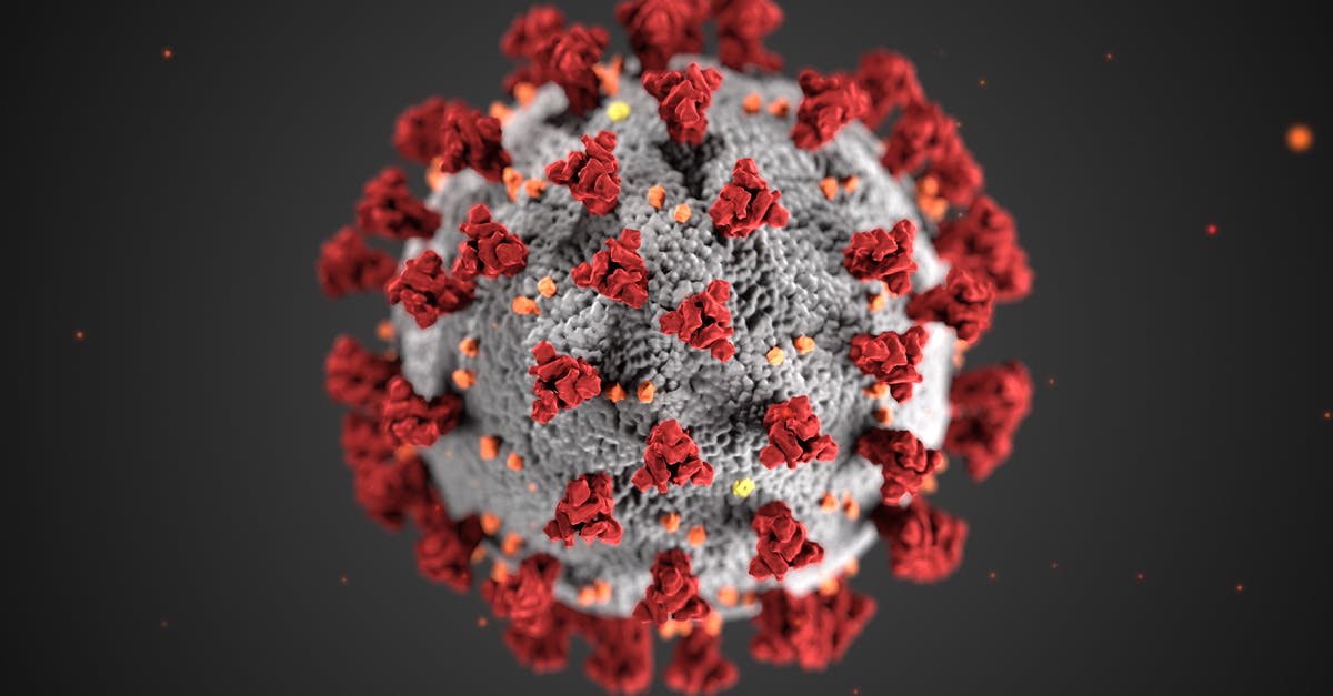 General grounds for refusal - False representation - Structure of a Coronavirus