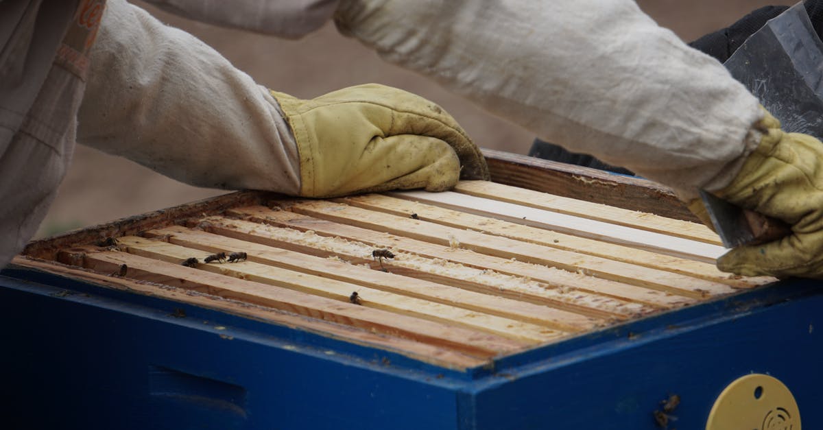 Getting a working visa in time for Christmas [closed] - Close-Up Photo of a Person in Beekeeper Suit Getting a Hive Frame