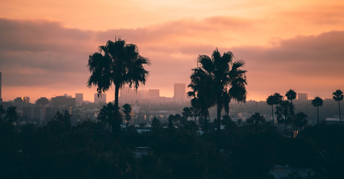 Getting to La Tomatina - City Buildings and Trees during Golden Hour