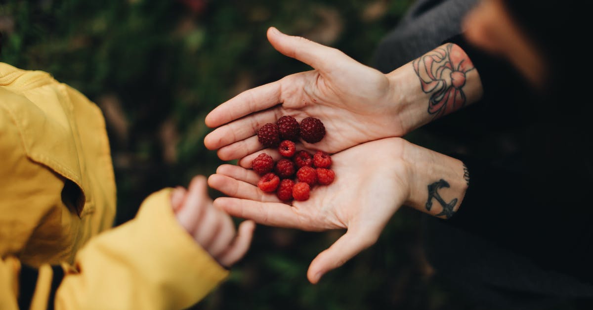 Give Delta voucher to another person - From above of crop anonymous person demonstrating handful of ripe sweet raspberry in garden in daylight