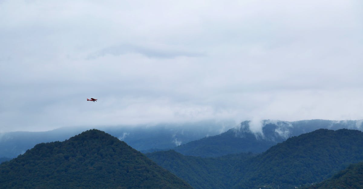 Google Flights flight cannot be found - Bird Flying over Green Mountains