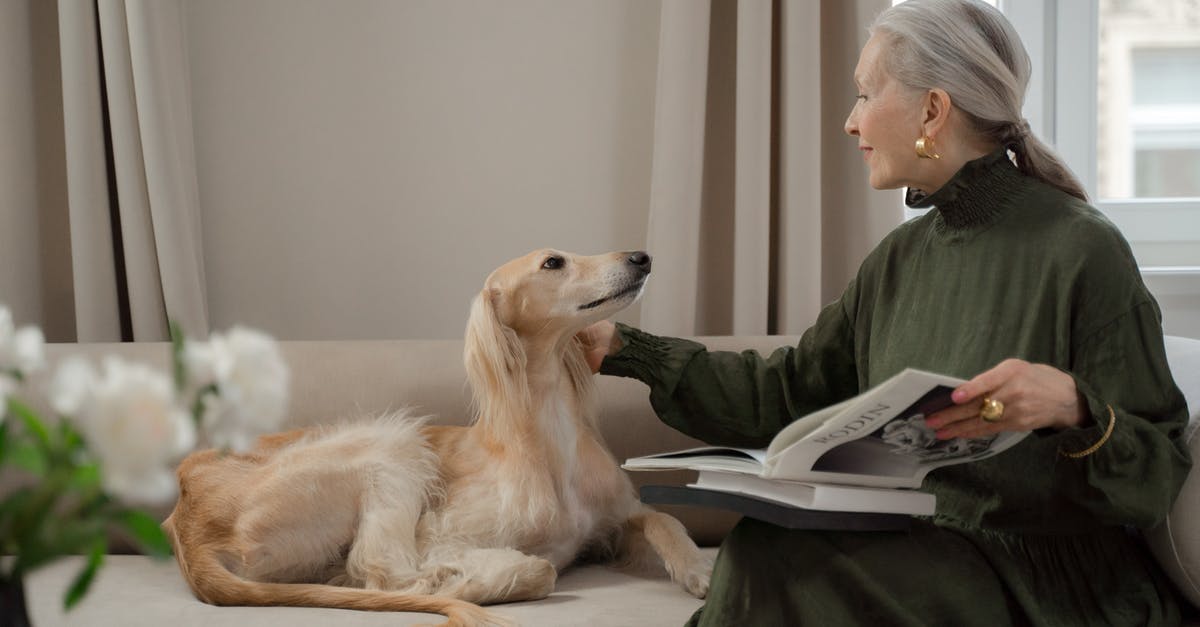 Greyhound bus ticket (print at home) - Senior Lady Talking to Her Dog Laying on Sofa