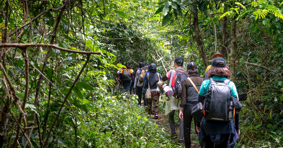 Group jungle trek in Chiang Mai - Back view of unrecognizable backpackers strolling on pathway between lush greenery in tropical woods