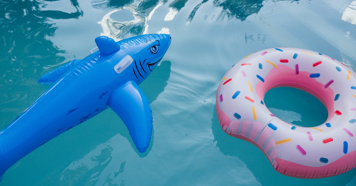 Hákarl aka Rotten Shark - the ultimate souvenir - Free stock photo of ball, beautiful girls, bikini