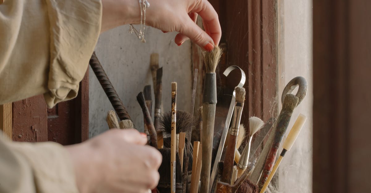 Has anyone ever used the Mega Bus? [closed] - Person Holding Brown Wooden Handle Paint Brush