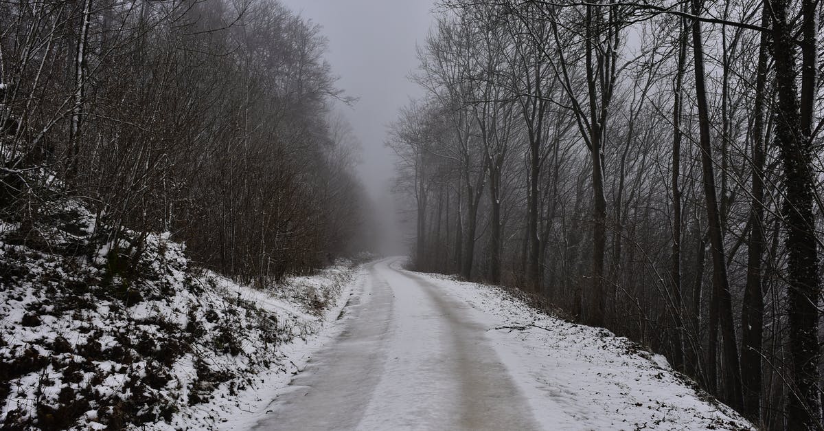 Has anyone had experience with Air China overnight layover at Shanghai? - Snow Covered Road Between Bare Trees