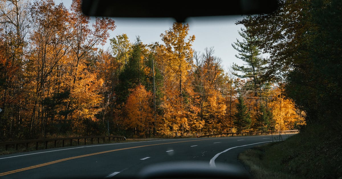 Hazards on road trip through Italian Alps - Modern car driving along curvy asphalt road amidst lush autumn trees in countryside on sunny day