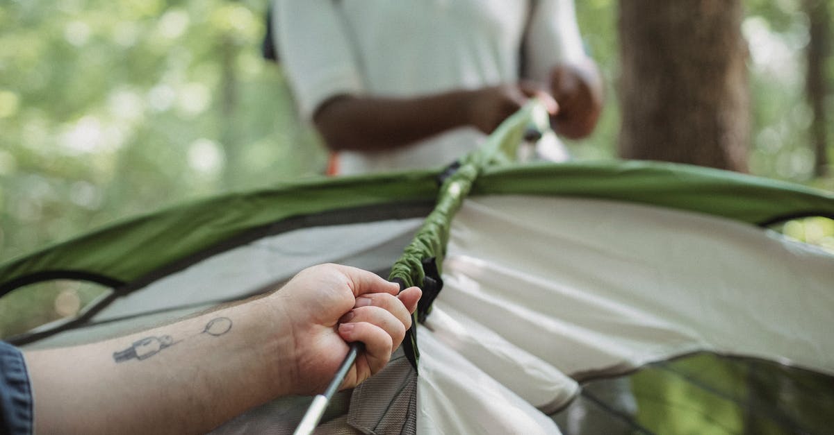 Help for a first-time traveller - Crop multiracial friends setting up tent in woods