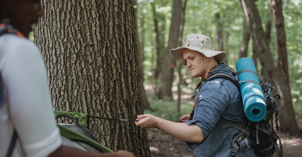 Help for a first-time traveller - Crop diverse backpackers setting up tent in woods