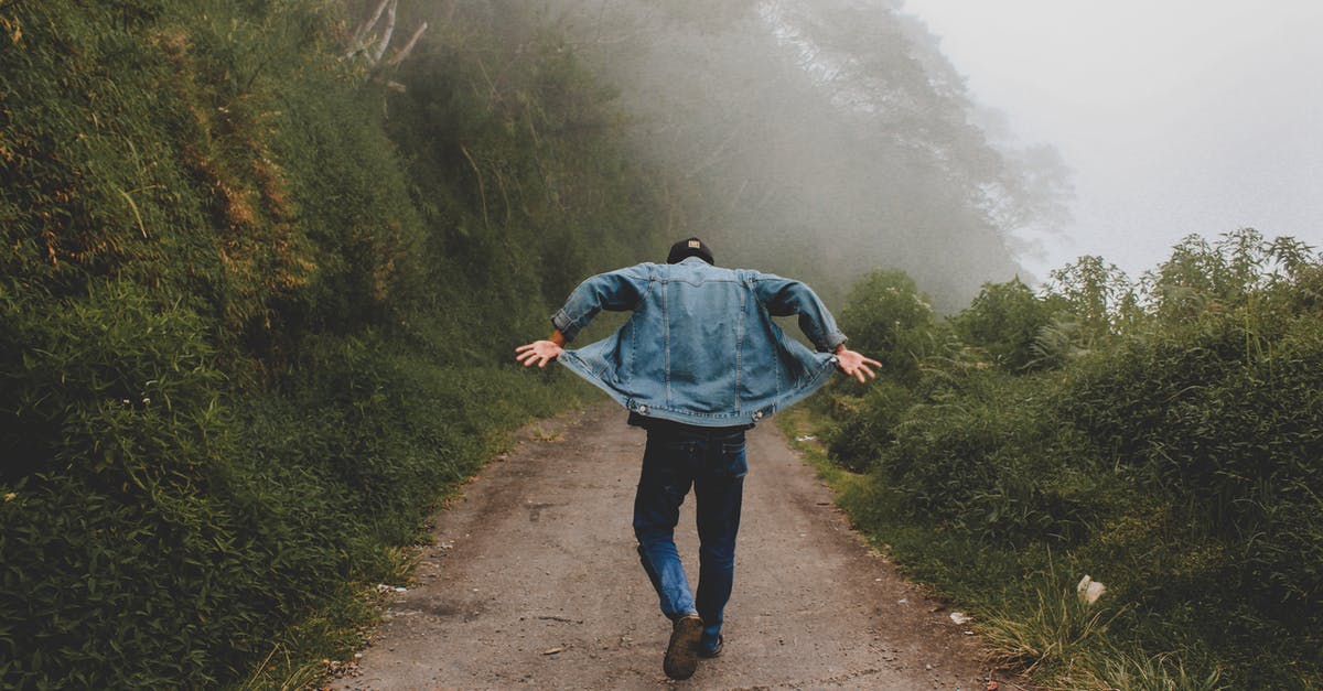 Hiking around Iceland: Trails or walking on the ring road? - Person Wearing Blue Denim Jacket While Walking on Foggy Road