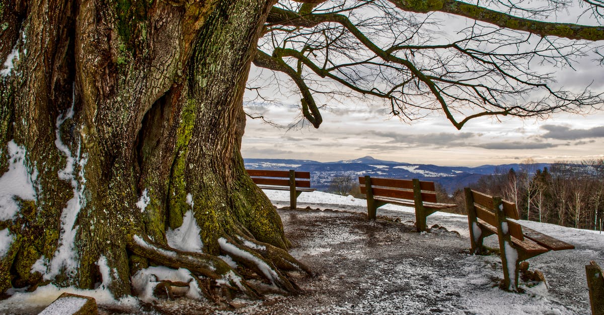 Hiking/nature around Lyon - Picturesque view from top of hill with thick trunk of big leafless tree and wooden benches on blue faraway lowland under cloudy sky in evening