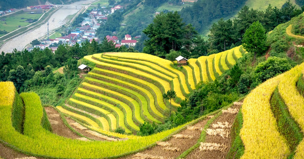 Hill-top villages to escape the heat south of Florence - Green Grass Field