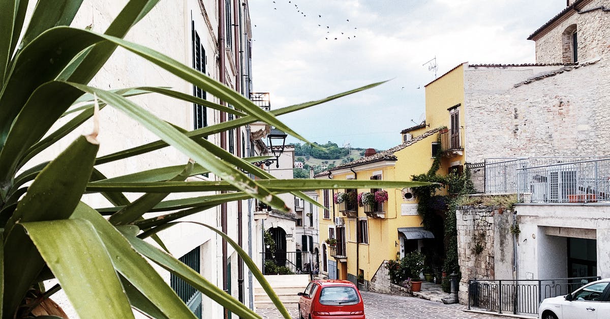 Hiring a Ferrari in Italy - Red Car Parked Beside Green Banana Tree