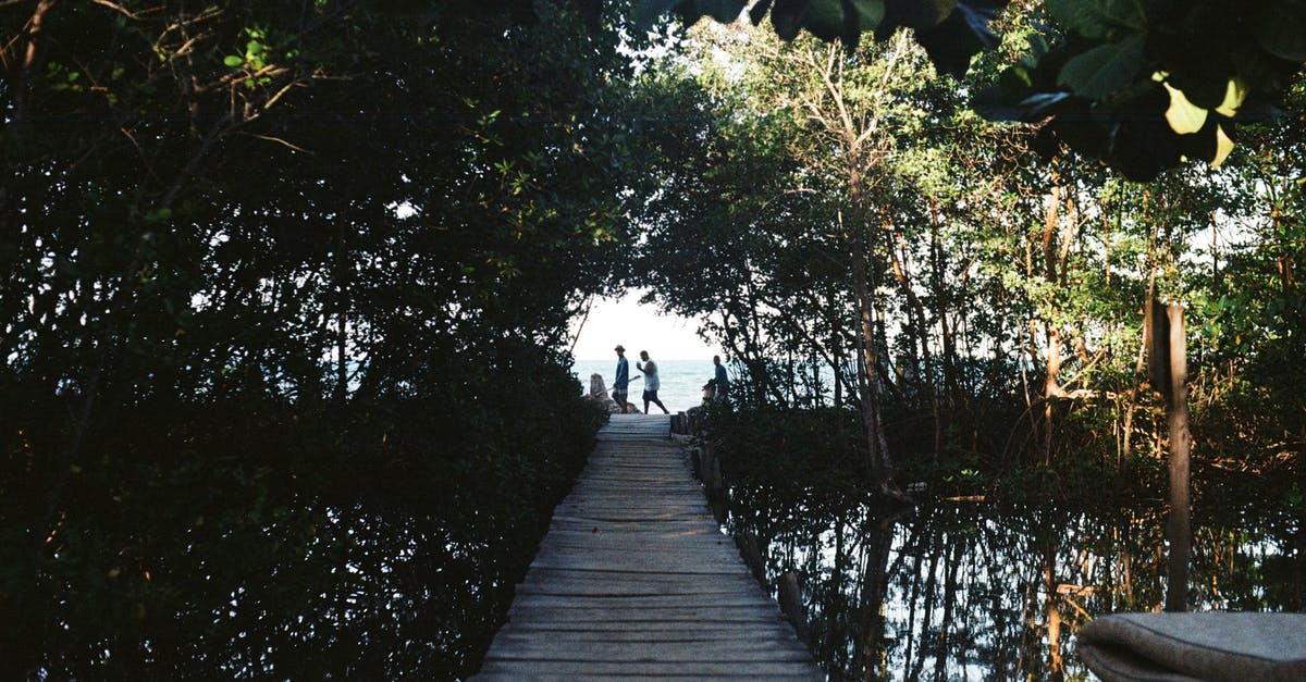 Holidays in Brazil without Portuguese - Wooden Walkway Leading to the Beach