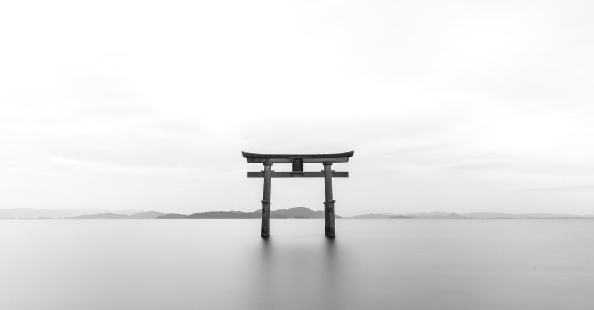 Hong Kong to Japan by sea - Pagoda in Gray Scale Shot