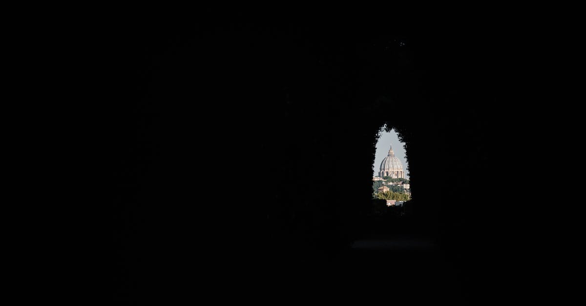 Hosting foreign minors in Switzerland and Italy - White and Black Eiffel Tower