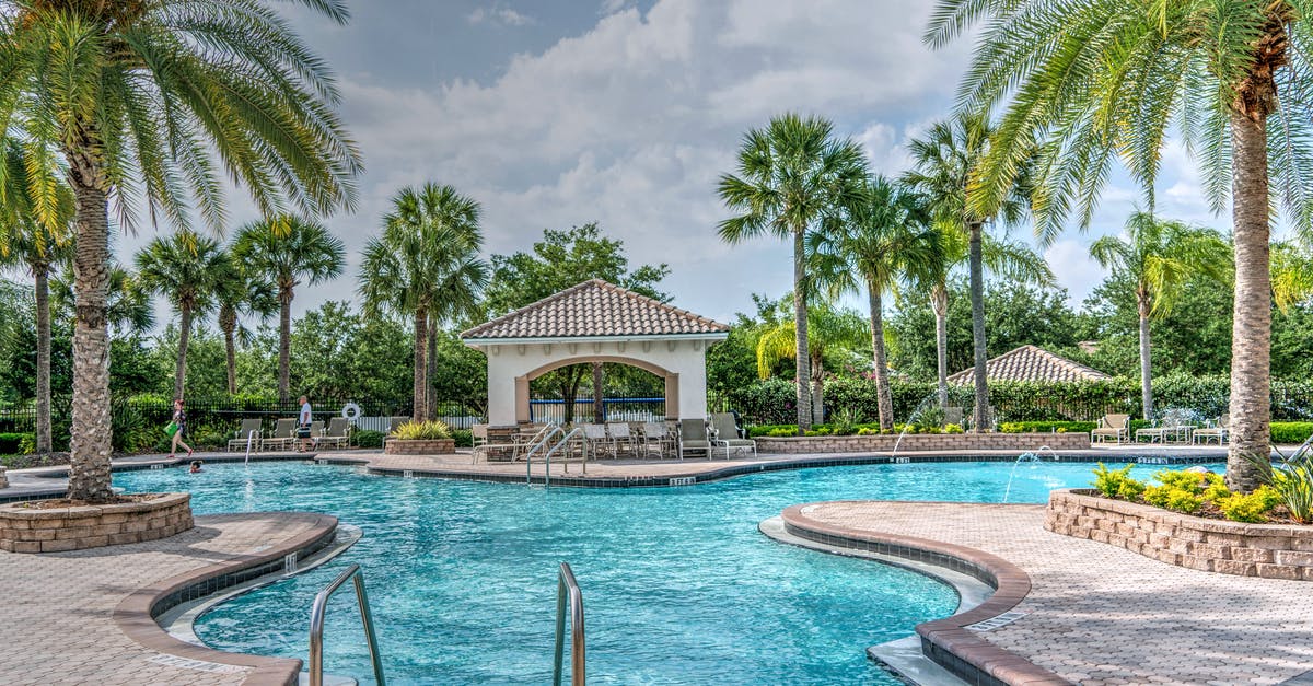 Hotels with outdoor swimming pools for winter [closed] - Palm Tree Planted Near Pool