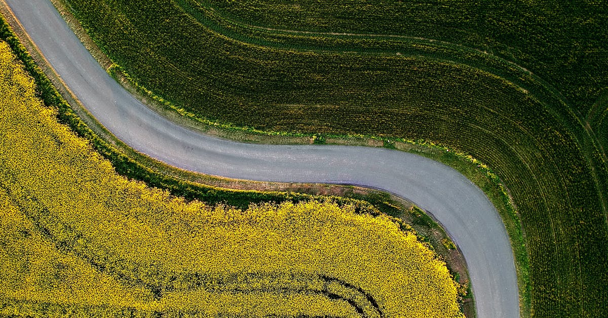 How's the view from Somerset House's terrace? - Aerial Photography of Country Road Between Green Grass Field