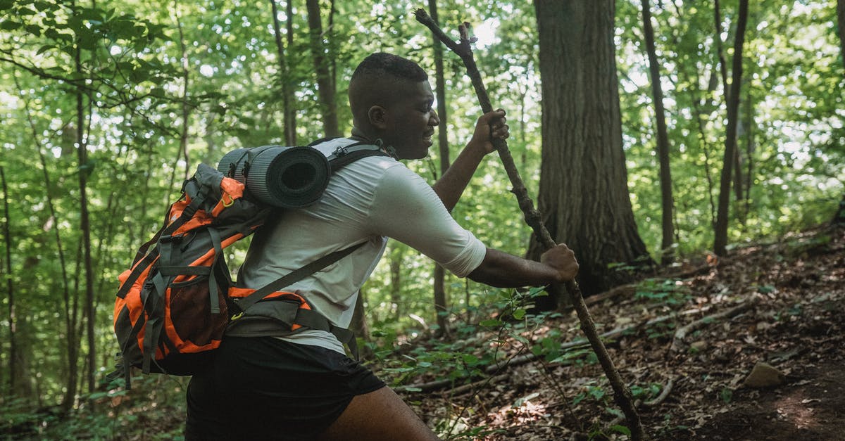 How am I supposed to travel with all these hard copy guidebooks? - Side view of black young man with backpack climbing with tree branch among green woods on sunny summer day