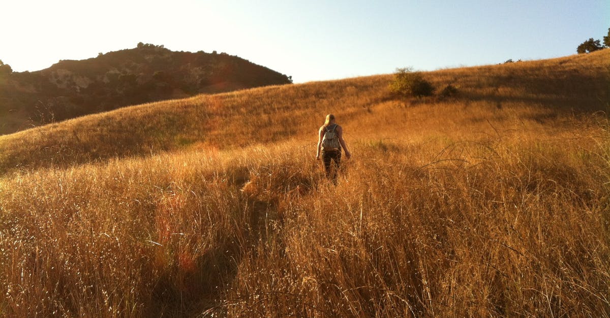 How are Scottish hiking trails marked? - Woman Walking on Brown Grass Field Under Blue and White Sky during Daytime