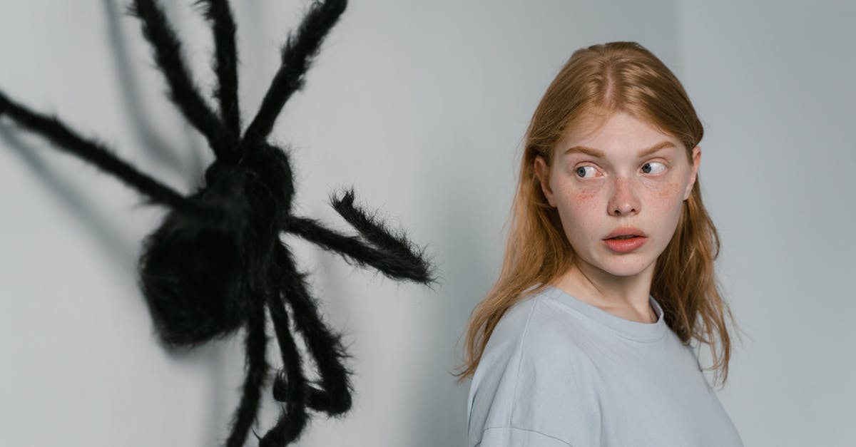 How big a problem are pickpockets in Prague? - A Woman Afraid of Big Spider Hanging on a Wall