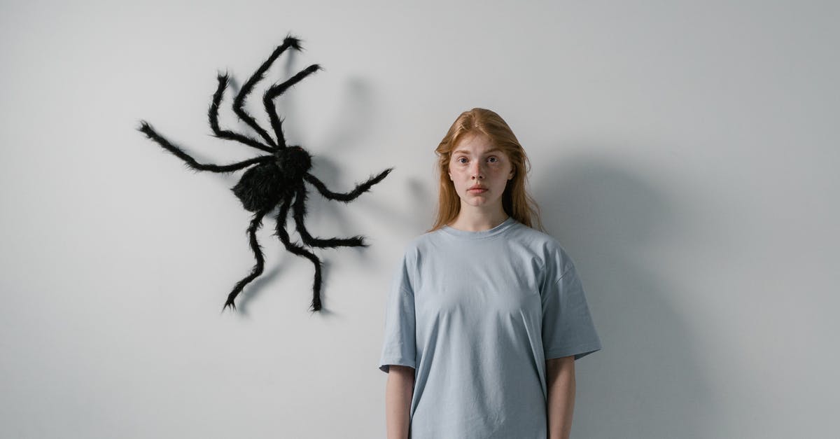 How big a problem are pickpockets in Prague? - A Woman Afraid of Big Spider Hanging on a Wall