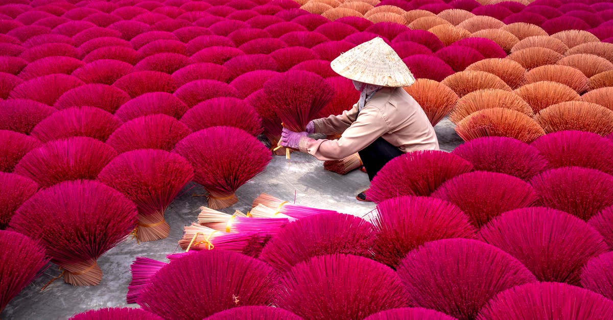 How can I attend an incense ceremony while I'm in Japan? - High angle of anonymous woman in traditional incense sticks sitting among rows of bright incense sticks in Vietnam village in daylight