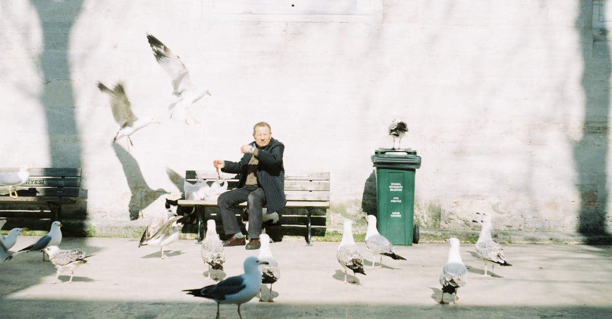 How can I convince someone that flying is safe? [duplicate] - Man in Black Coat Sitting on Wooden Bench