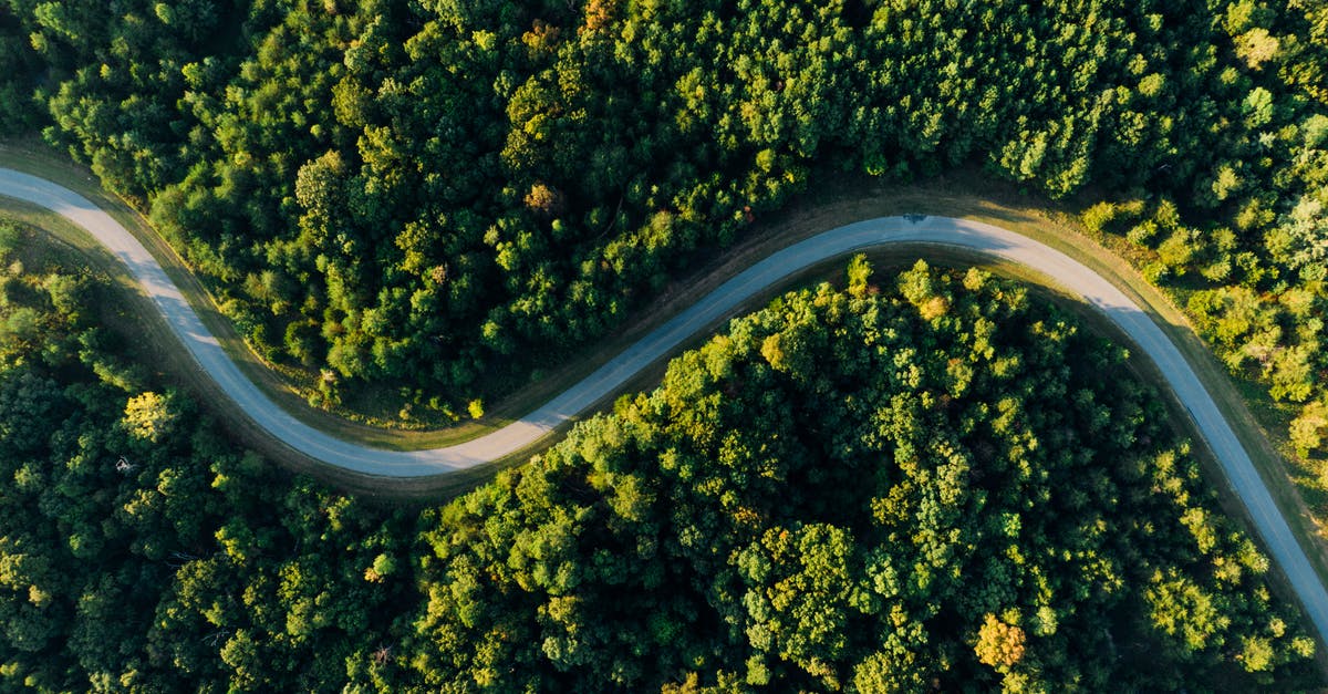 How can I get from Sausalito to Muir Woods on Friday? - Aerial Photo of Empty Meandering Road In Between Forest