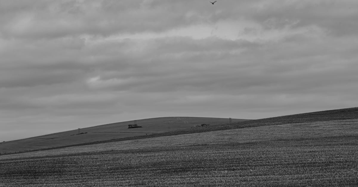 How can I know about the track of a specific flight? - Black and white of meadow with trails near hilly terrain covered with grass in nature against bird flying in countryside