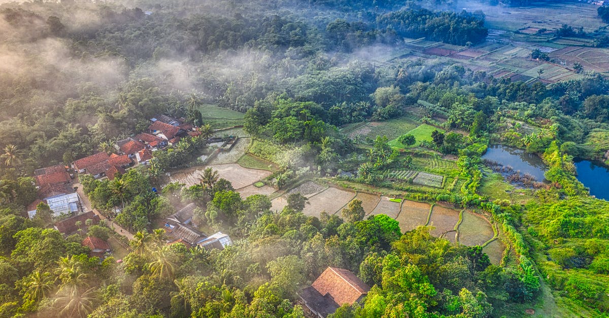 How can I know if a country allows drones? - Green Trees in High-angle Photo